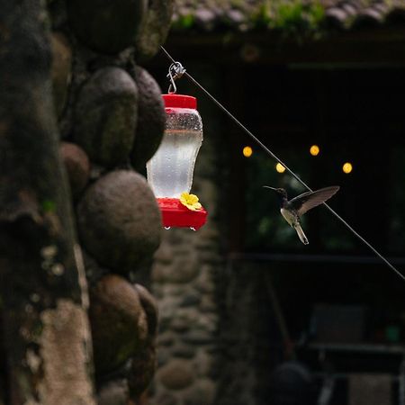 Pura Vista Glamping Hotel El Castillo ภายนอก รูปภาพ