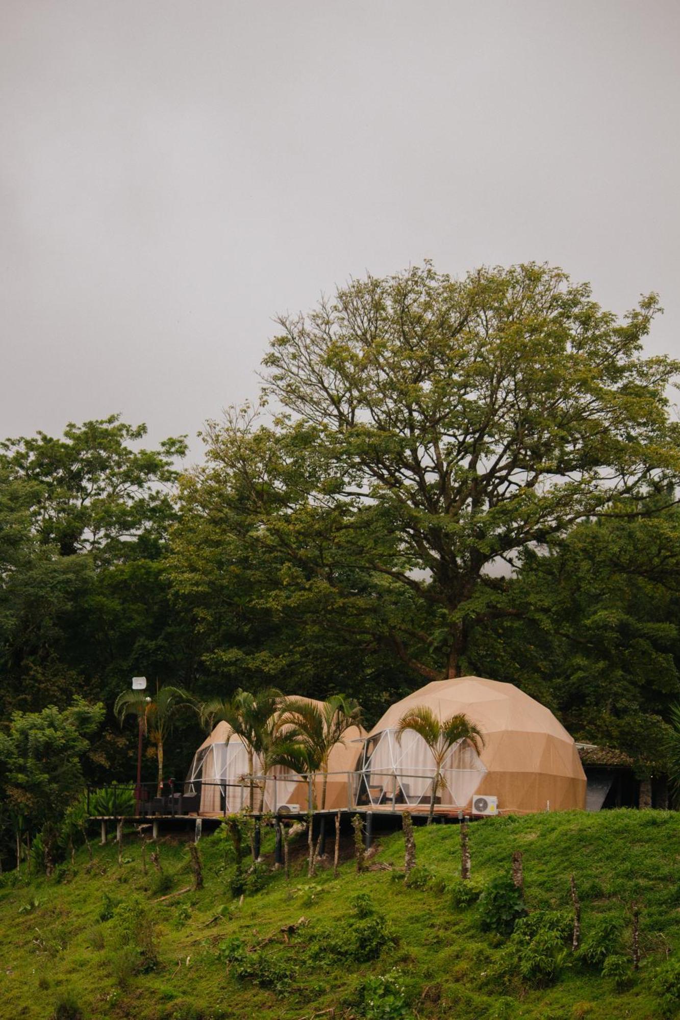 Pura Vista Glamping Hotel El Castillo ภายนอก รูปภาพ