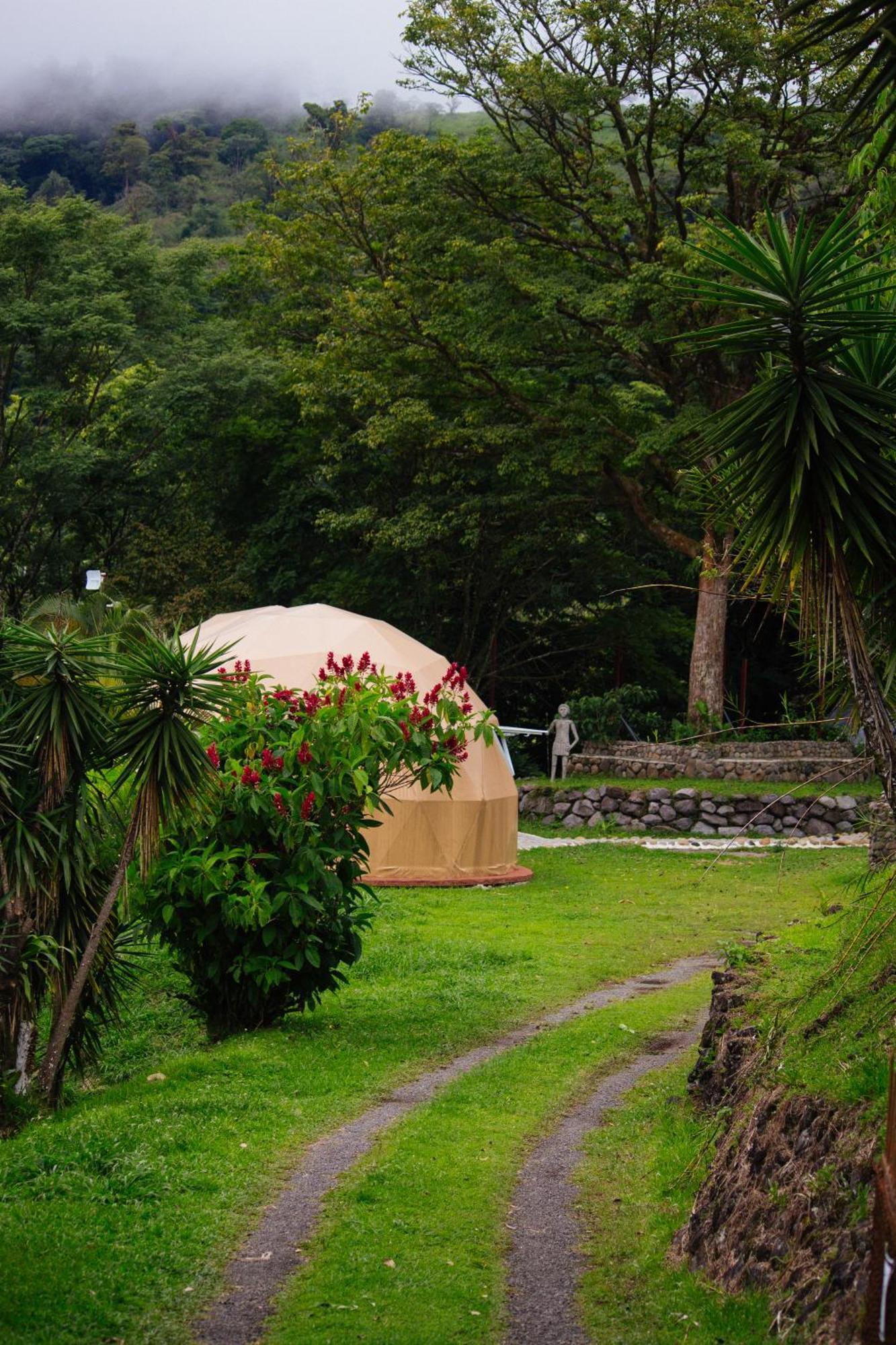 Pura Vista Glamping Hotel El Castillo ภายนอก รูปภาพ